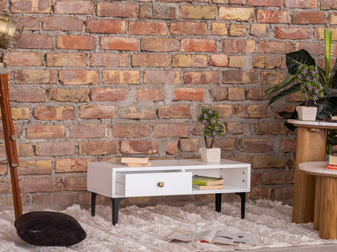Duraster Novo Premium Coffee Table with Storage
