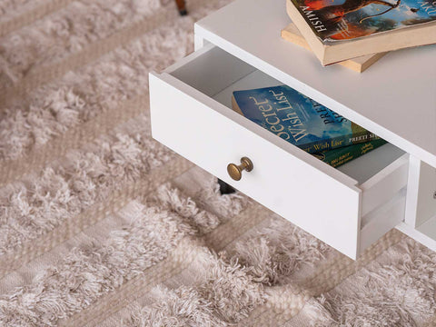 Duraster Novo Premium Coffee Table with Storage