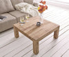Elementary Newage Sheesham Coffee Table #4 - Duraster 