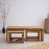 Duraster Misa Nest Of Tables Mango Wood #25