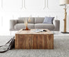 Elementary Solid Sheesham Coffee Table #12 - Duraster 