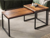 Duraster Elementary Stylish Sheesham wood Set of 2 Coffee Table with Black Iron Frame #16