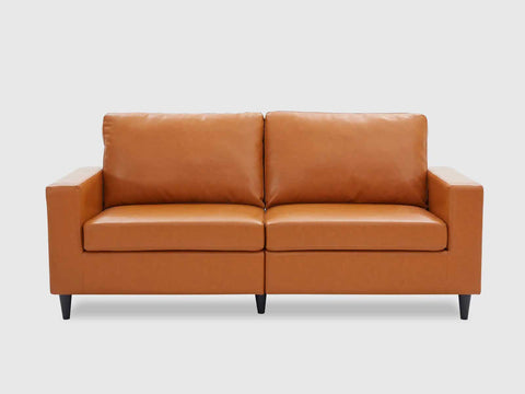 Duraster Premium Modern Two Seater Leather Sofas #82
