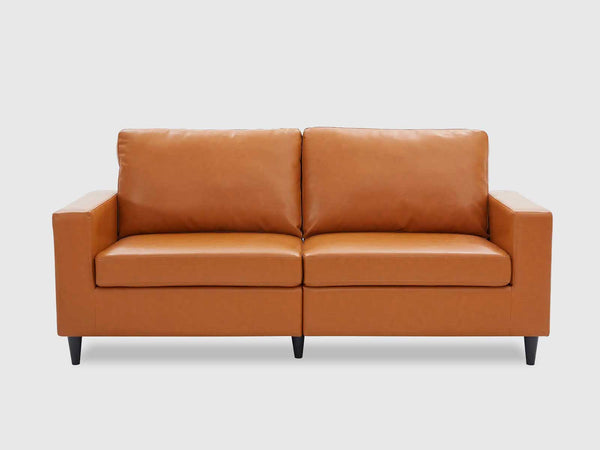 Duraster Premium Modern Two Seater Leather Sofas #82