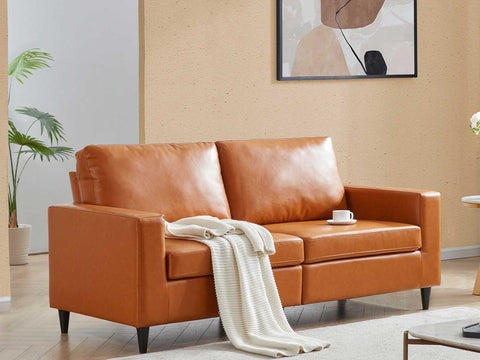 Duraster Premium Modern Two Seater Leather Sofas #82