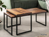 Elementary Stylish Sheesham wood Set of 2 Coffee Table with Black Iron Frame #16 - Duraster 
