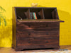 GangaurModern Sheesham wood Chest of Drawers#14 - Duraster 