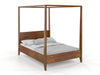 Preyas Mango wood Teak Finish Wooden Bed #17 - Duraster 