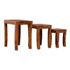 Mehran Contemporary Sheesham Wood Nest of Tables #1 - Duraster 