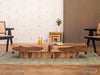 Nature New Age Sheesham Coffee Table #1 - Duraster 