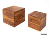 Torpedo Modern Sheesham Wood Nested Sidetable Cum Coffee Table#1 - Duraster 